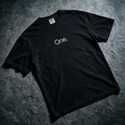 Embroidered One Word Shirt,Modern Typography Comfort Colors T-Shirt